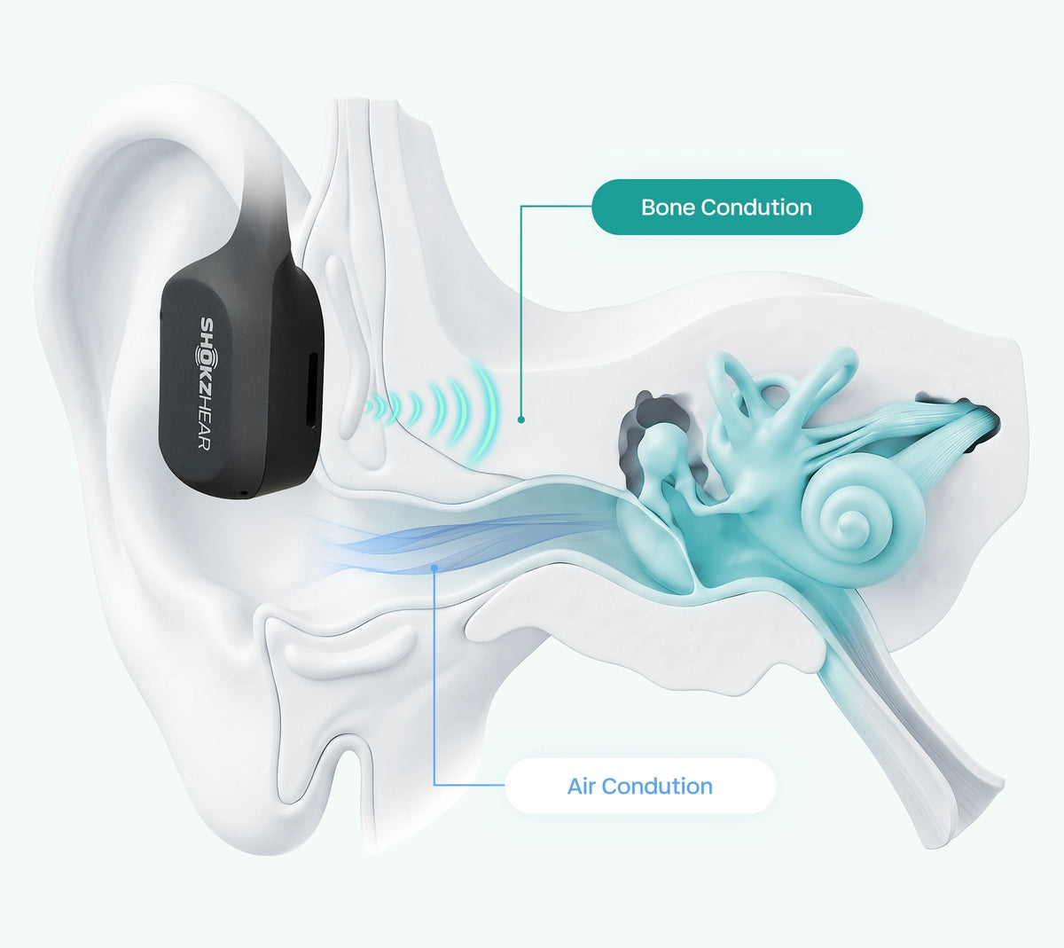 Bone conduction and air conduction
